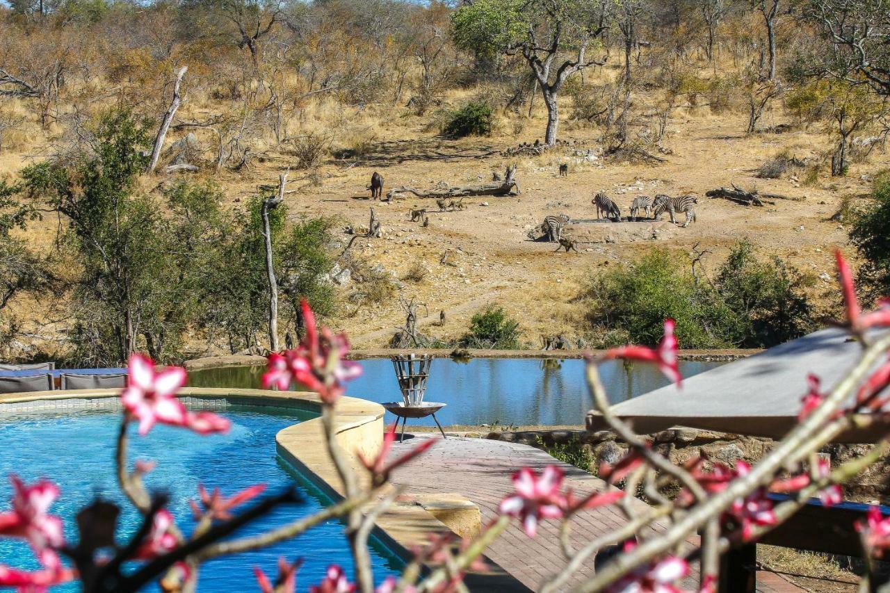 Ndzuti Safari Camp Villa Balule Game Reserve Eksteriør billede
